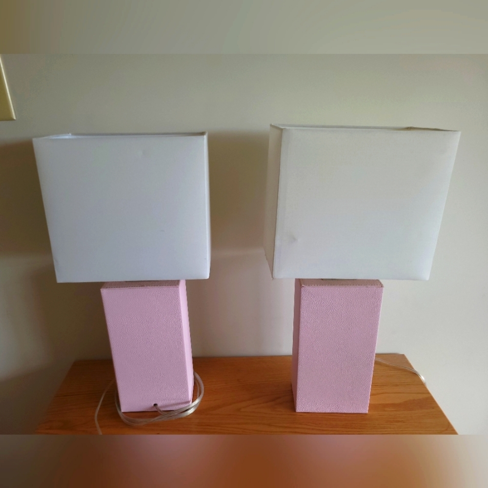 (2) Matching Pink Lights